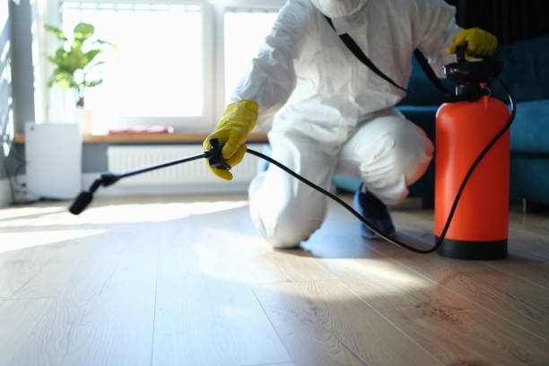 Reliable Biohazard contractor in Brighton, IL by Crime Scene Cleaner Online